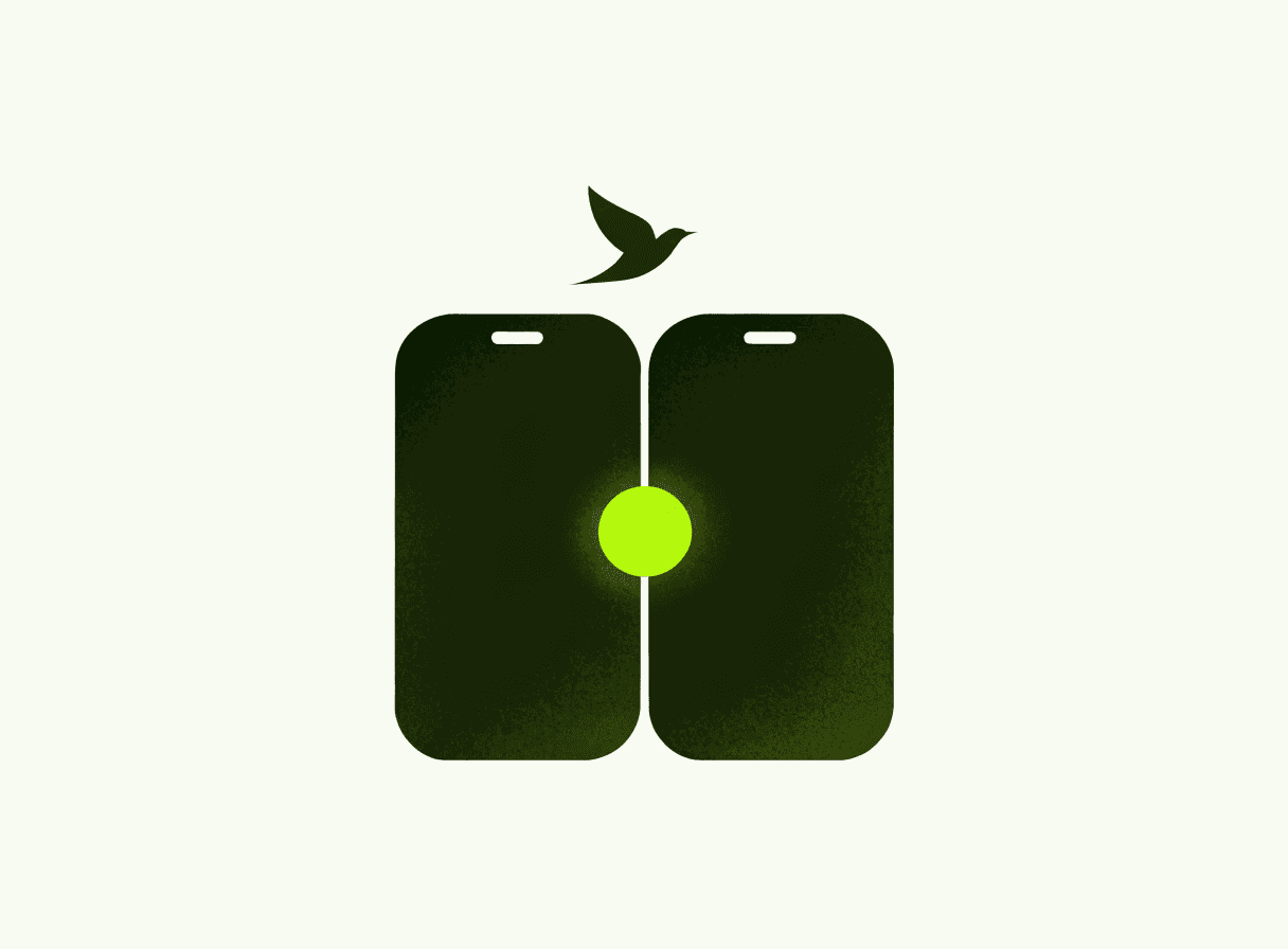 Flutter oder native App: Was passt für dein Projekt?